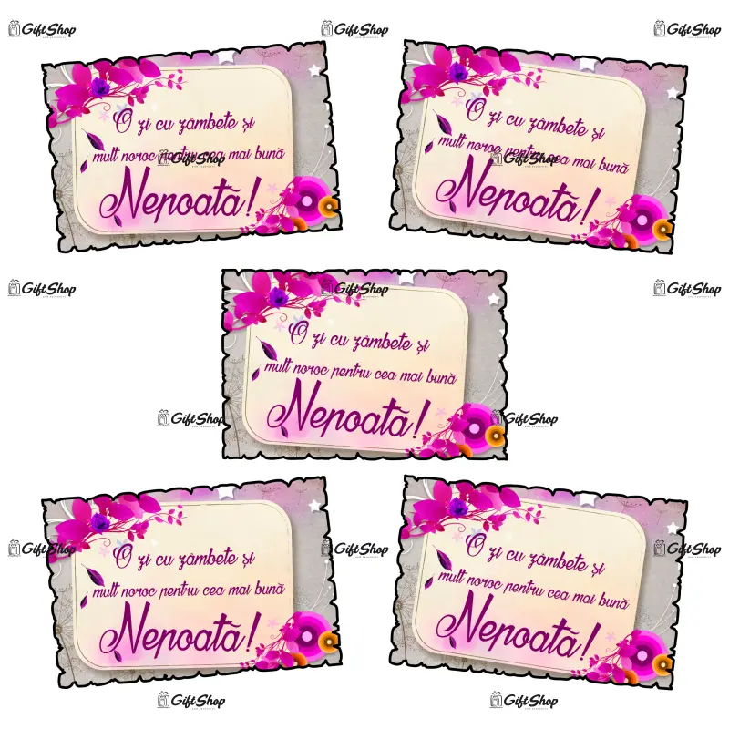 Mgs117-magnet frigider-o zi cu zambetept.vea m.b.nepoata